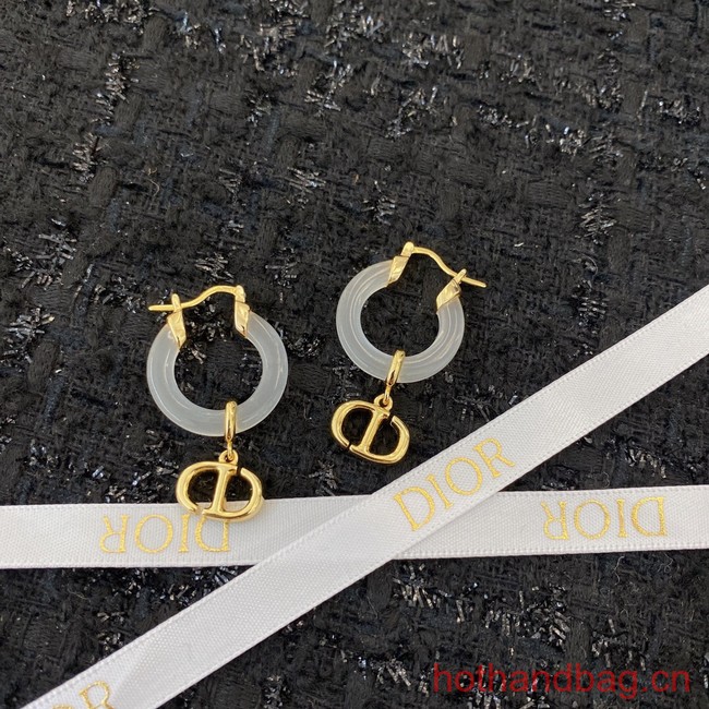 Dior Earrings CE13155