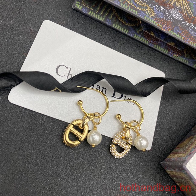 Dior Earrings CE13203