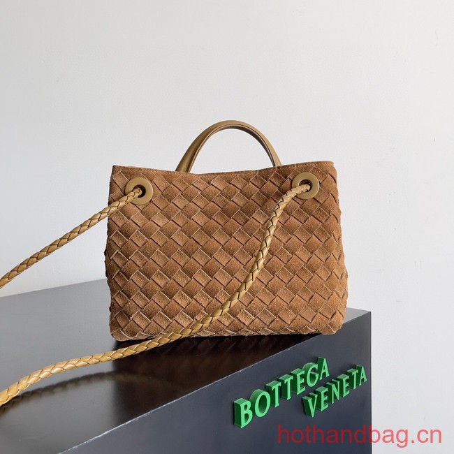 Bottega Veneta Small Andiamo 743568 Acorn