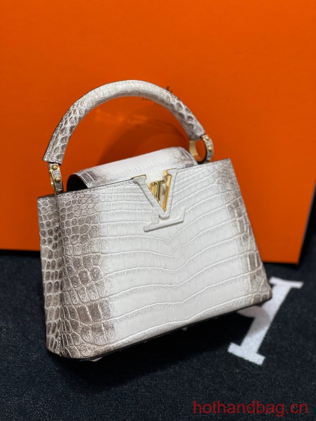 Louis Vuitton Capucines MM N93419 gray&white