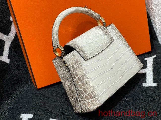 Louis Vuitton Capucines MM N93419 gray&white