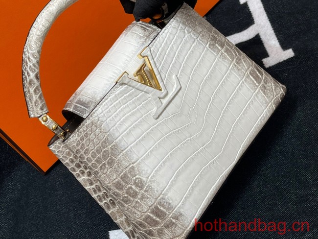 Louis Vuitton Capucines MM N93419 gray&white