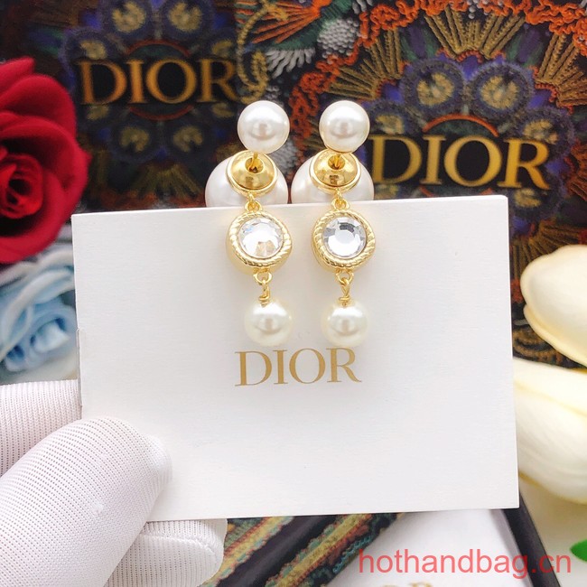 Dior Earrings CE13379