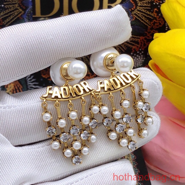 Dior Earrings CE13380