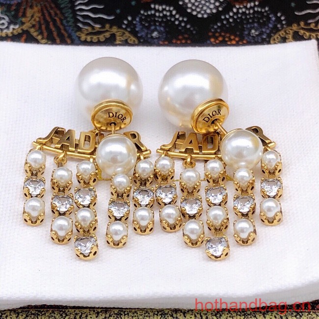 Dior Earrings CE13380