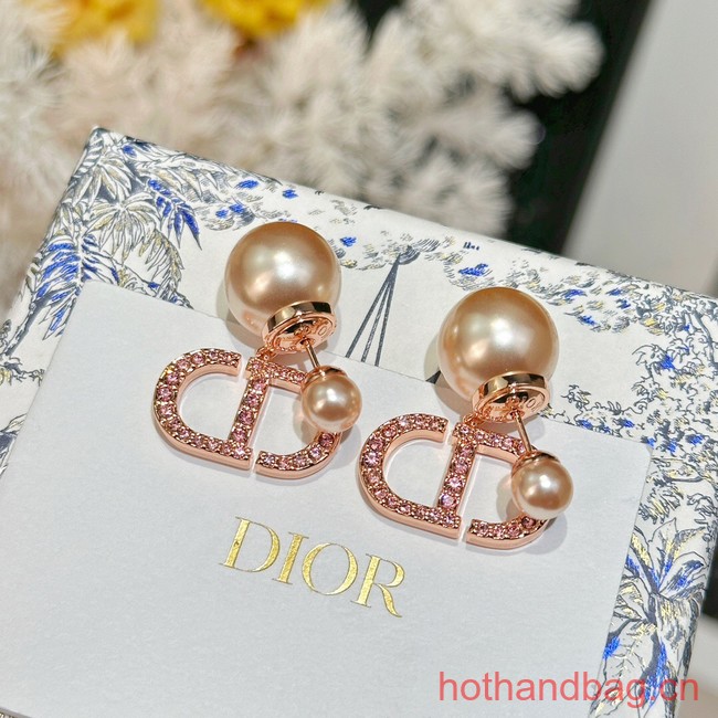 Dior Earrings CE13481