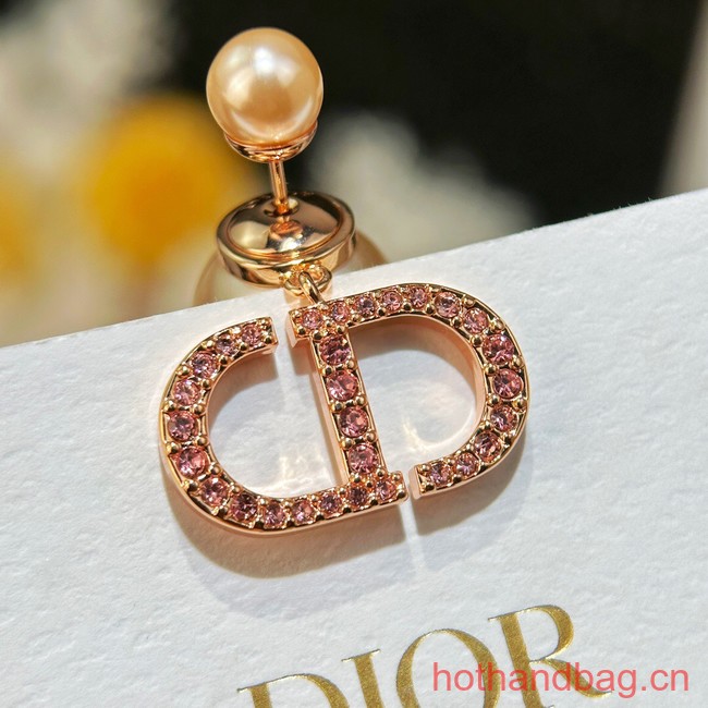 Dior Earrings CE13481