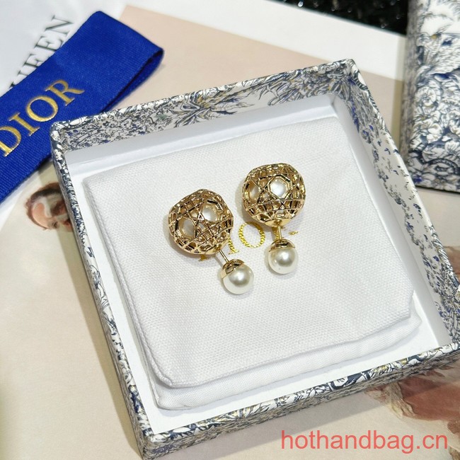 Dior Earrings CE13482