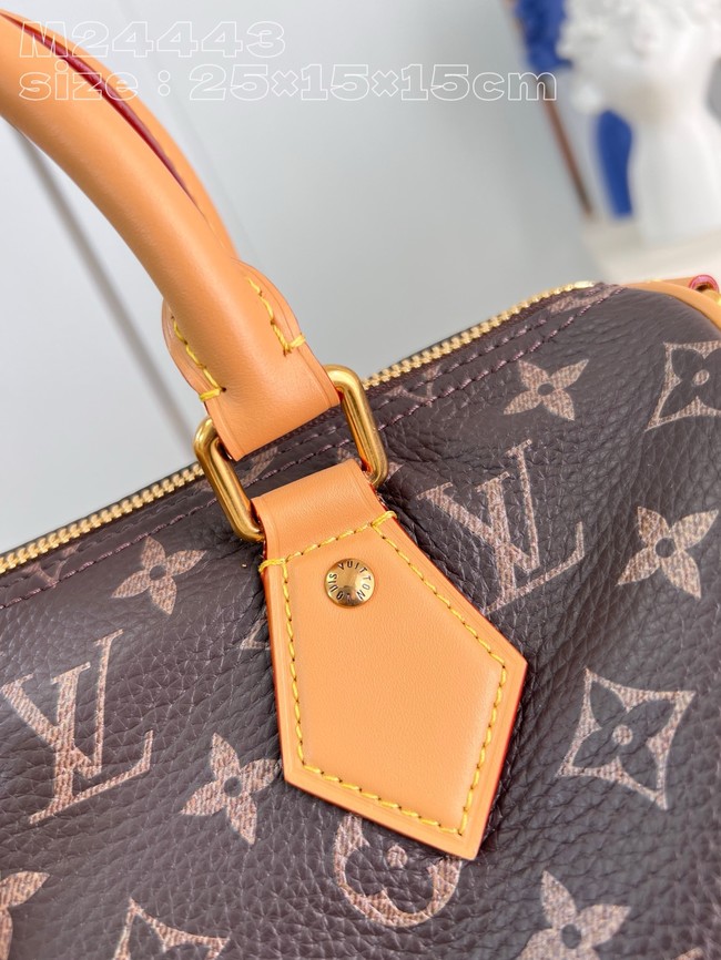 Louis Vuitton Speedy P9 Bandouliere 25 M24443