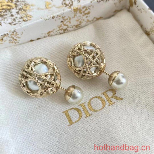 Dior Earrings CE13552