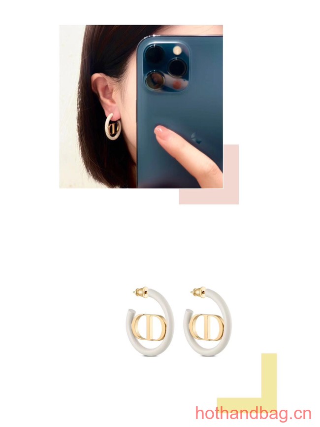 Dior Earrings CE13593