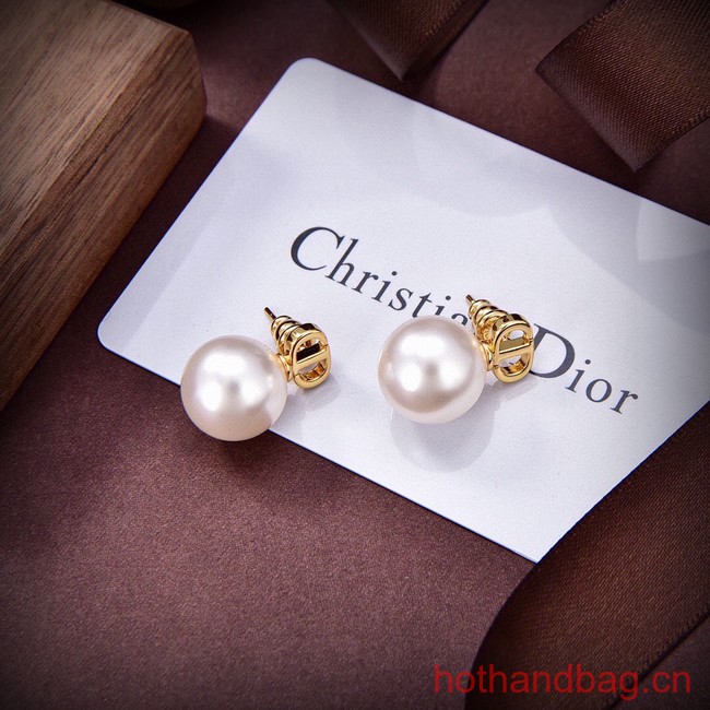 Dior Earrings CE13626