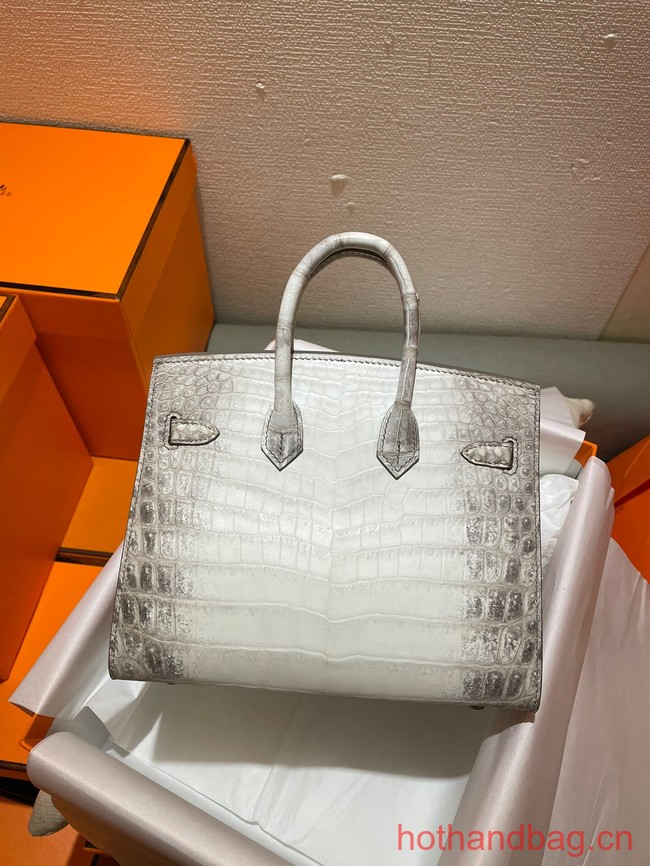 Hermes Birkin 25CM Original Crocodile Leather Bag 5533 Cream