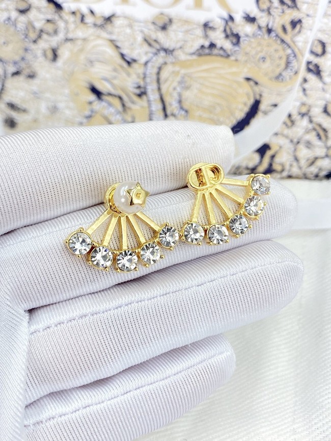 Dior Earrings CE13652