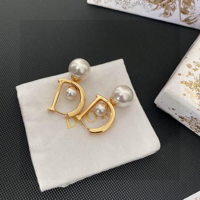 Dior Earrings CE13685