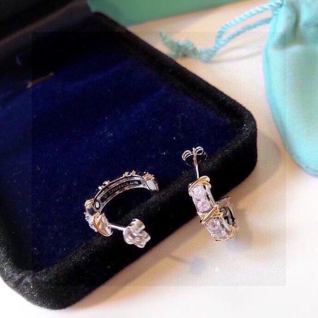 TIFFANY Earrings CE13784