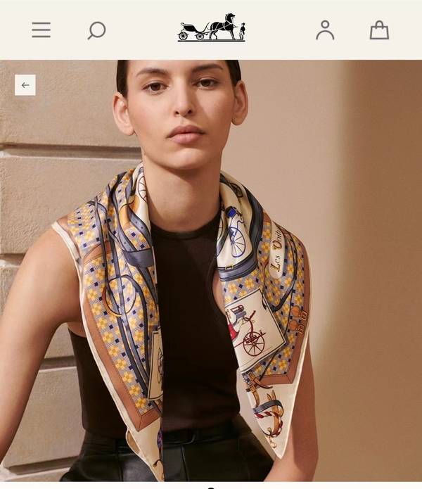 Hermes Scarf HEC00962