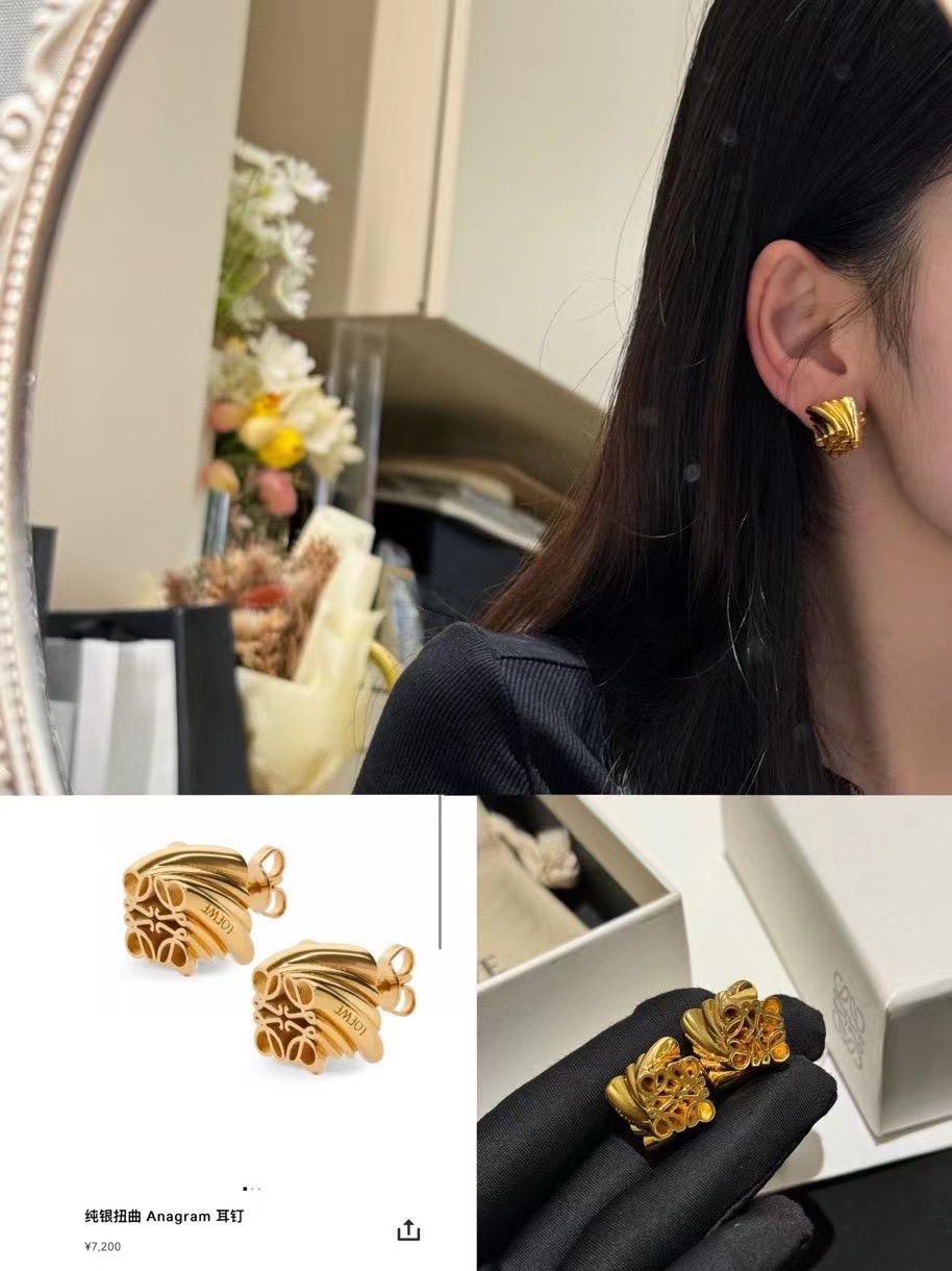 Loewe Earrings CE13828