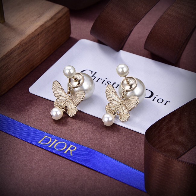 Dior Earrings CE13868