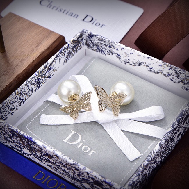 Dior Earrings CE13869