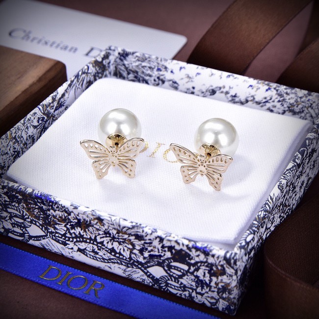 Dior Earrings CE13869