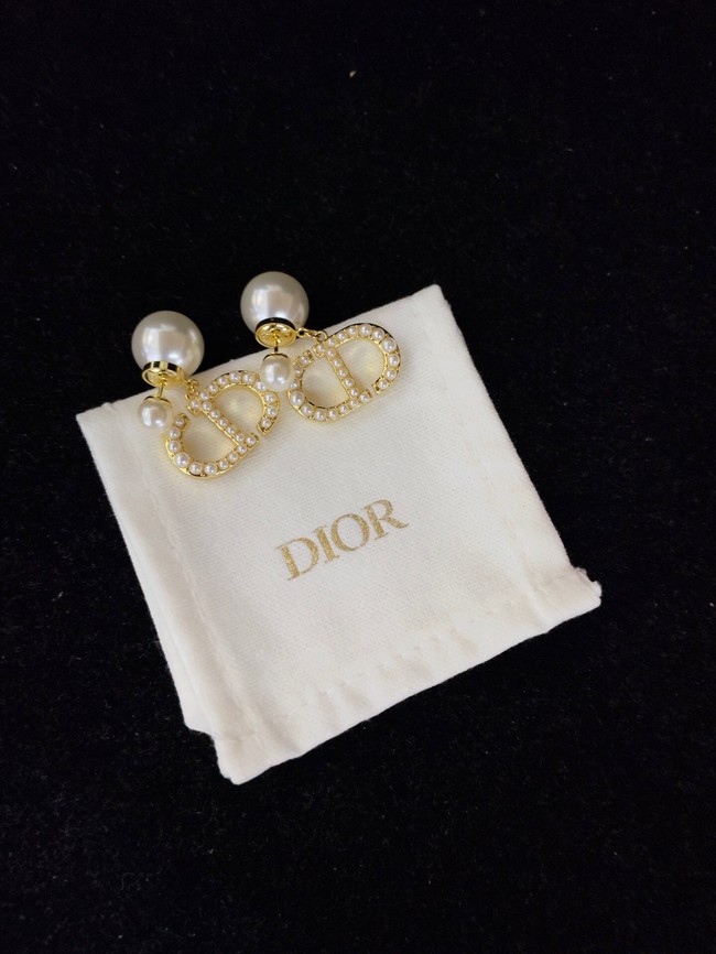 Dior Earrings CE13885