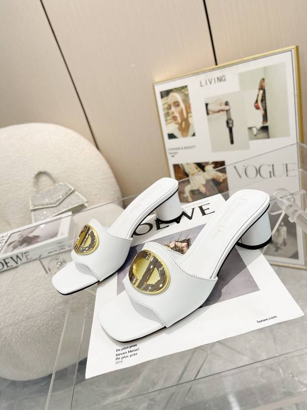 Dior Shoes DIS00497