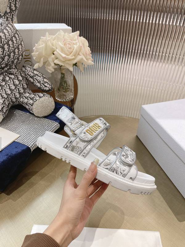 Dior Shoes DIS00507