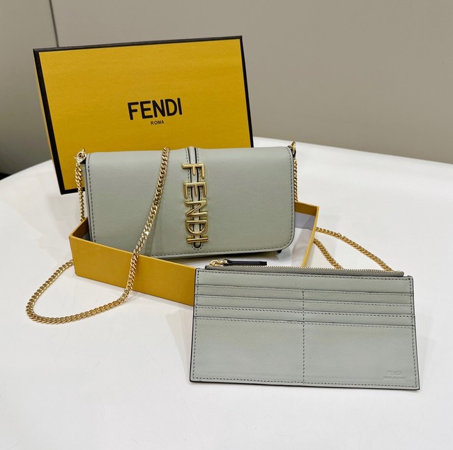 Fendi small smooth leather bag F3670 gray