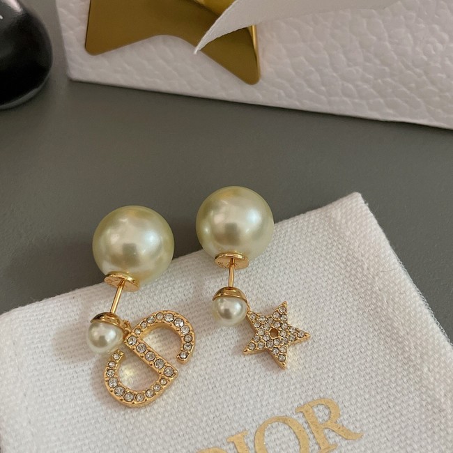 Dior Earrings CE13886