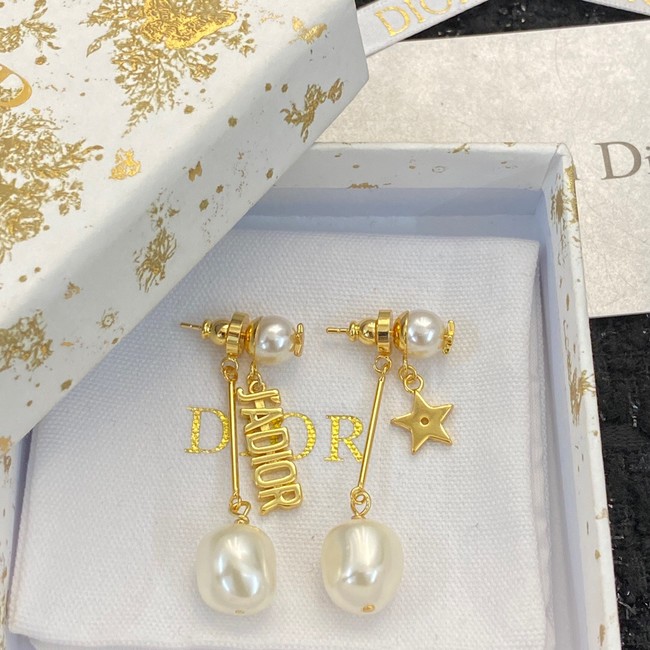 Dior Earrings CE13933