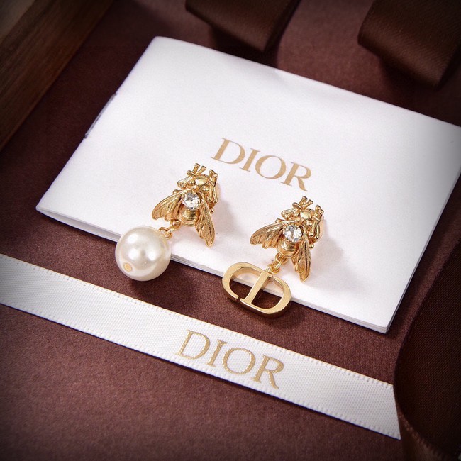 Dior Earrings CE13937