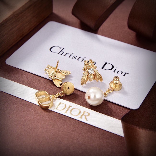 Dior Earrings CE13937