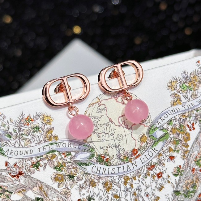 Dior Earrings CE13944