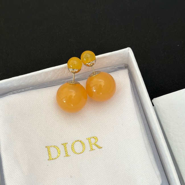 Dior Earrings CE13969