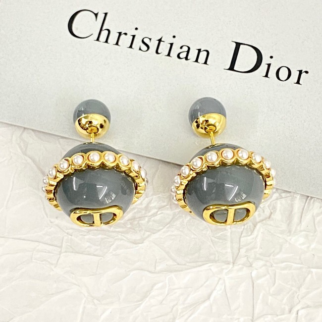 Dior Earrings CE14057