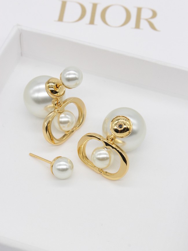 Dior Earrings CE14061