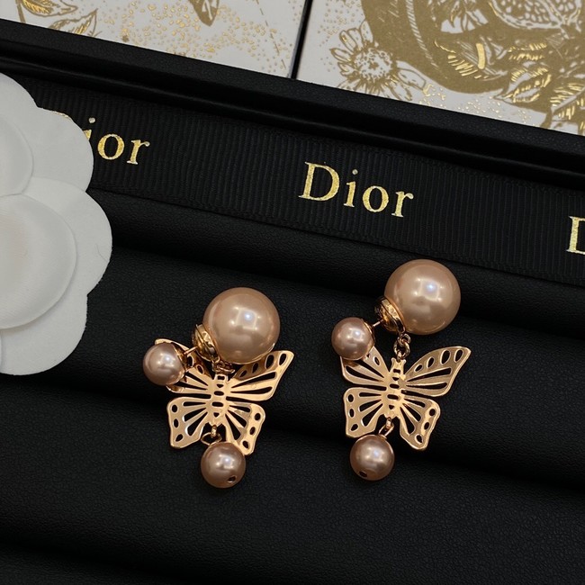 Dior Earrings CE14062