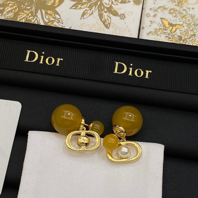 Dior Earrings CE14069