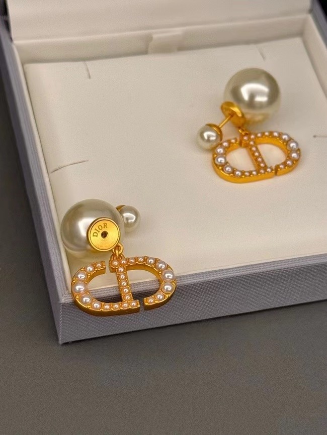 Dior Earrings CE14112