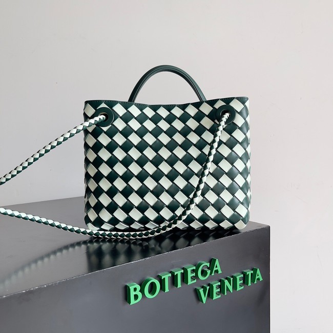 Bottega Veneta Small Andiamo 766014 white&green