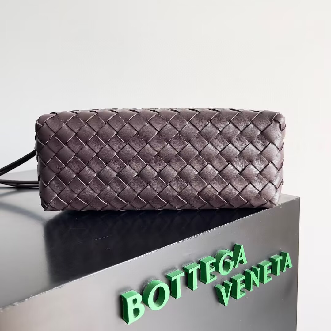 Bottega Veneta Loop Camera Bag 723548 Fondant