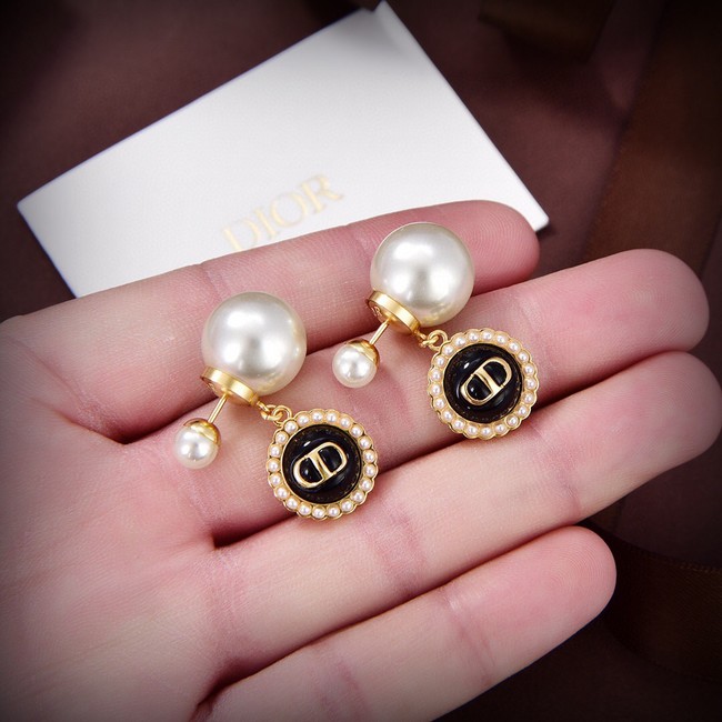 Dior Earrings CE14198