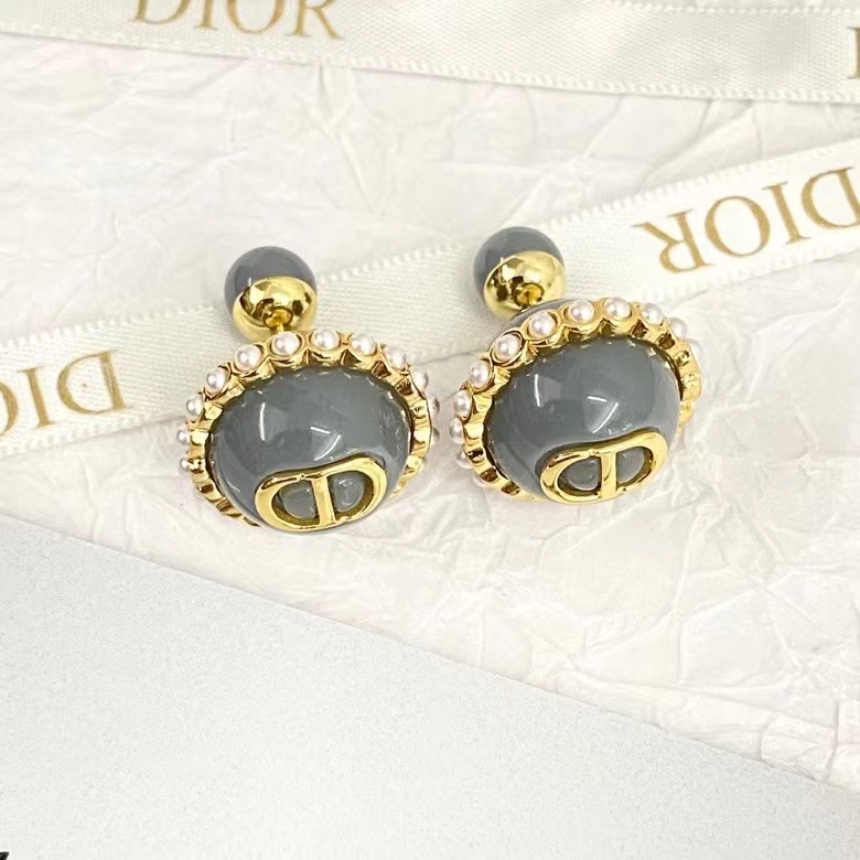 Dior Earrings CE14211