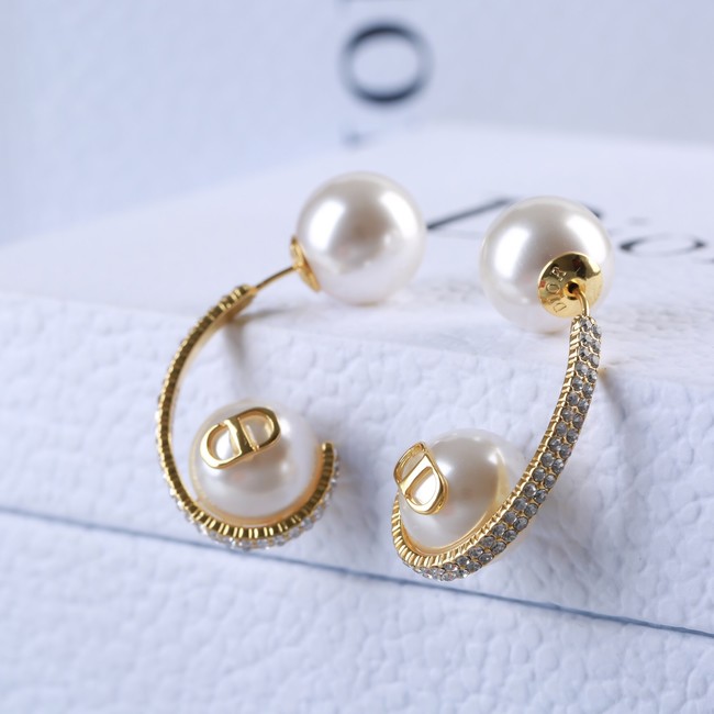 Dior Earrings CE14241