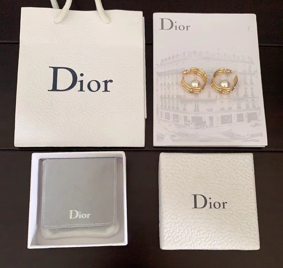 Dior Earrings CE14251