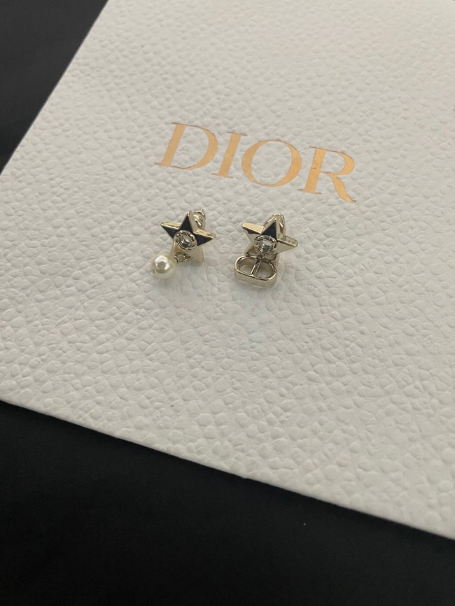 Dior Earrings CE14322