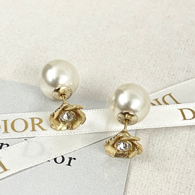 Dior Earrings CE14361