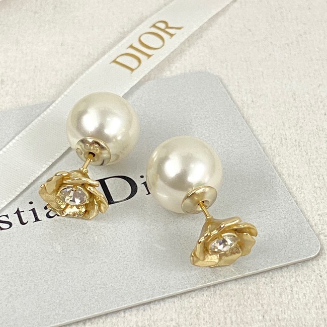 Dior Earrings CE14361