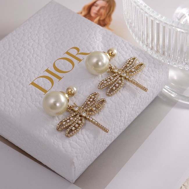 Dior Earrings CE14375